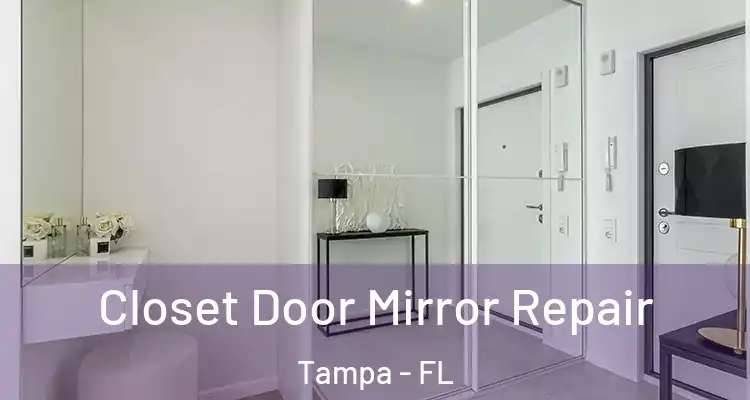 Closet Door Mirror Repair Tampa - FL