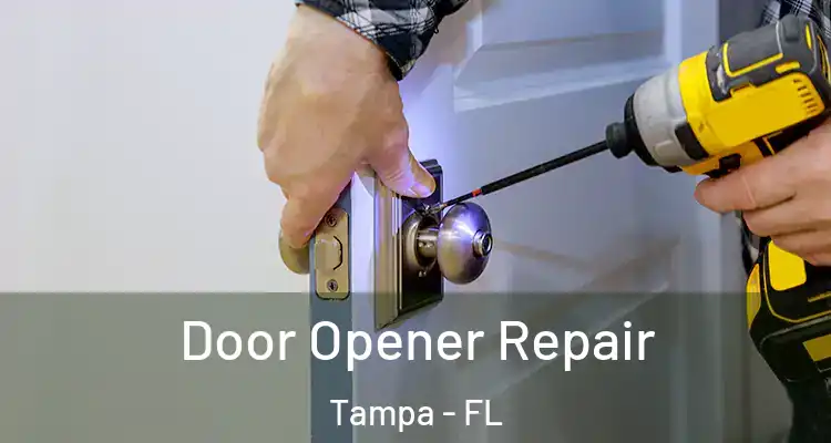 Door Opener Repair Tampa - FL