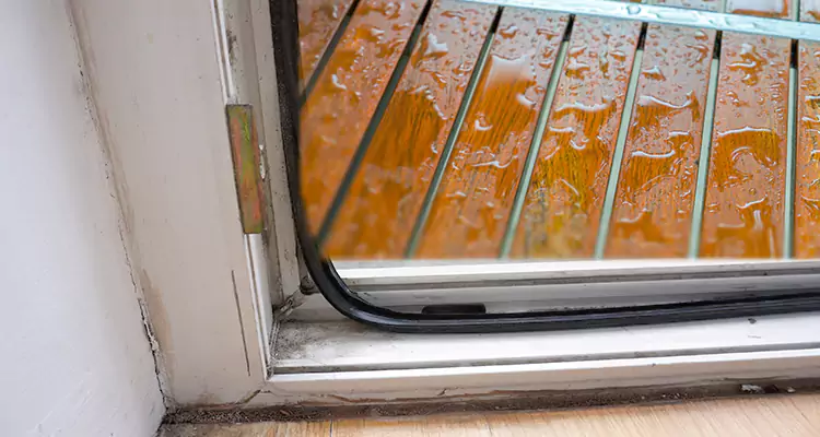 Water Leaking Wooden Patio Doors Repair in Tampa, FL