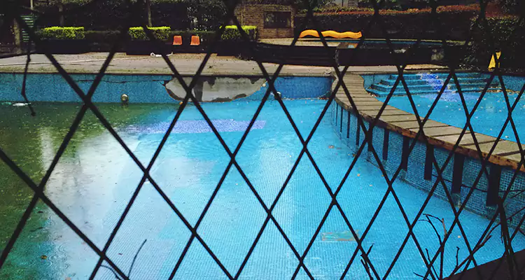 Lanai Screen Repair in Tampa, FL