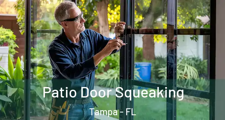 Patio Door Squeaking Tampa - FL