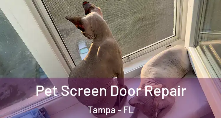 Pet Screen Door Repair Tampa - FL