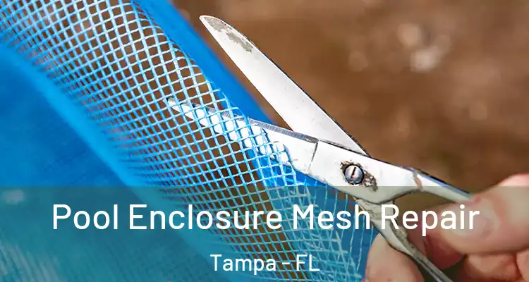 Pool Enclosure Mesh Repair Tampa - FL