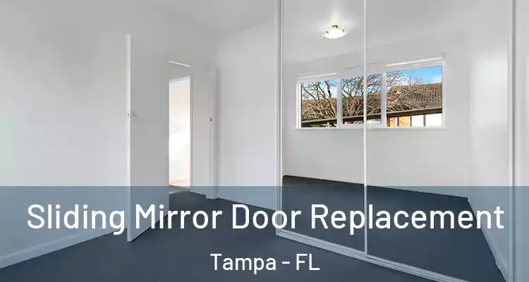 Sliding Mirror Door Replacement Tampa - FL