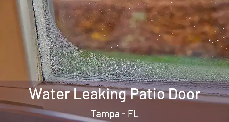 Water Leaking Patio Door Tampa - FL