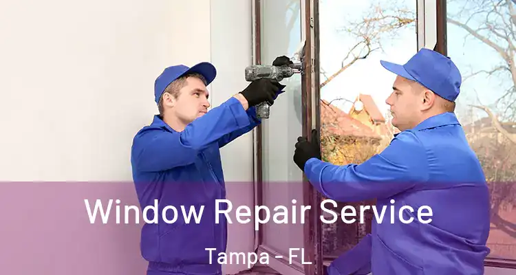 Window Repair Service Tampa - FL